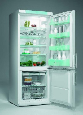 Chodziarko-zamraarka Electrolux ERB 2951