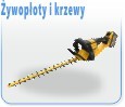 �ywop�oty i Krzewy