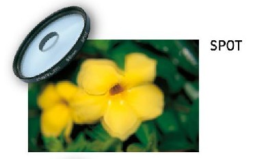 Filtr zmi�kczaj�cy Marumi Spot 43 mm Standard - effect