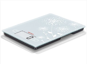 Waga kuchenna Soehnle Frosted & Frozen