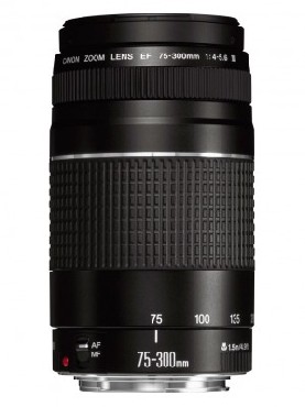 Obiektyw zmiennoogniskowy Canon EF 75-300MM 4.0-5.6 III
