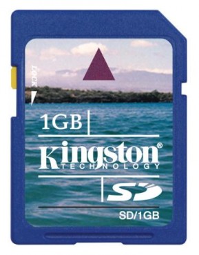 Karta pami�ci Kingston SD 1GB