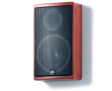 Gonik surround Canton ERGO 601