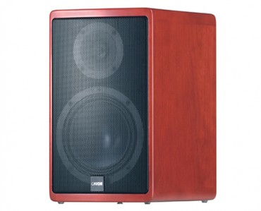 Monitor Canton ERGO 602