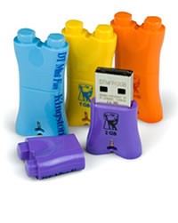 Przeno�na pami�� USB Kingston DTMFY 1GB