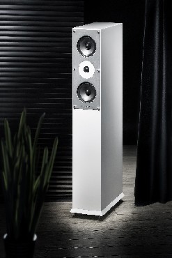 Kolumna gonikowa Wharfedale Onyx 300