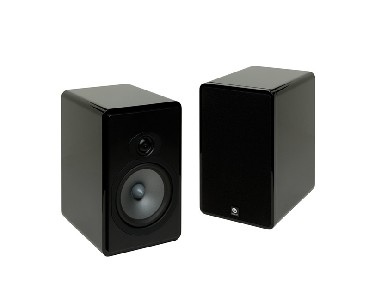 Gonik surround Boston Acoustics RS 260
