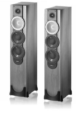 Kolumna gonikowa Paradigm MONITOR 9 v.6
